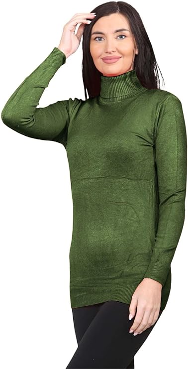 Womens Long Sleeve Turtle Neck Plain Highneck